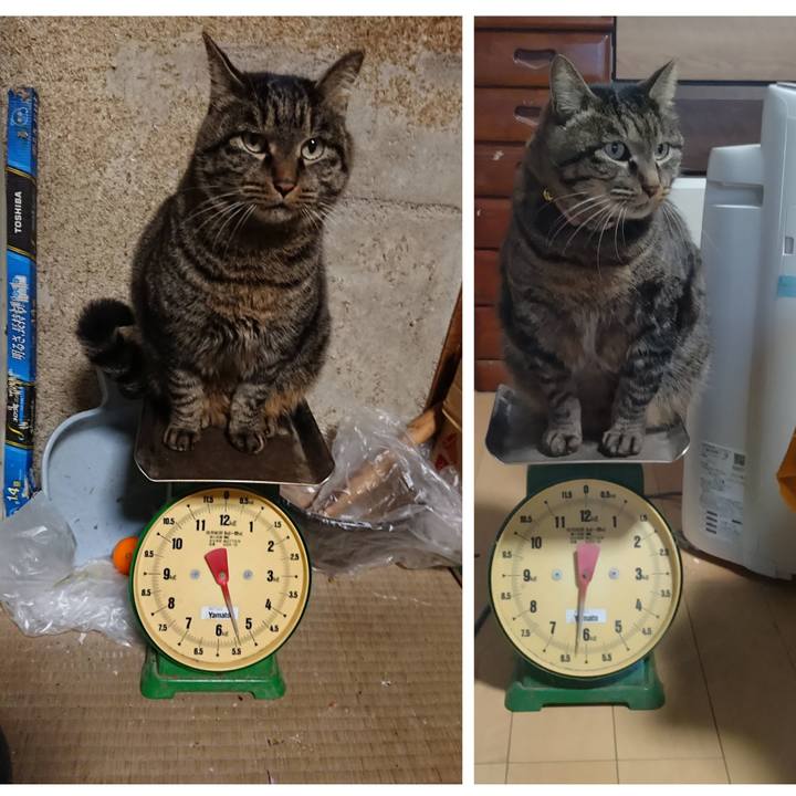 9095ea3c a86f 4f94 b70e 2b35351ec87a 1707813697243