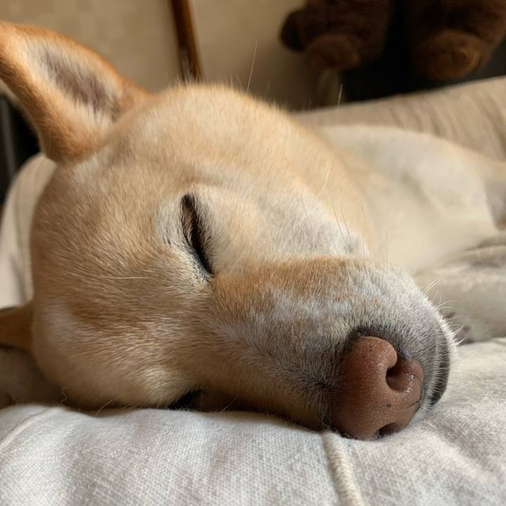 90961a08 7d56 4765 b5c9 1120840f5c34 1638678352450