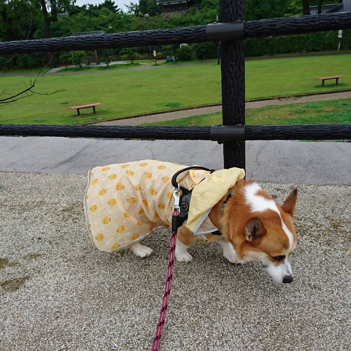 90962dfa fbf9 4f72 9993 a3fbd2484cb1 1625275616537