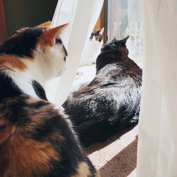 90965897 0825 4fcb 992d 27f693ae689c 1554950547589