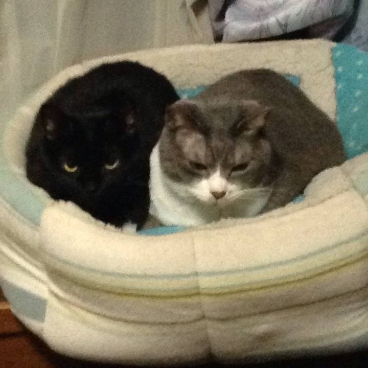 90966aec d0ed 4352 9b0d 9ea9df729fe2 1511871155911