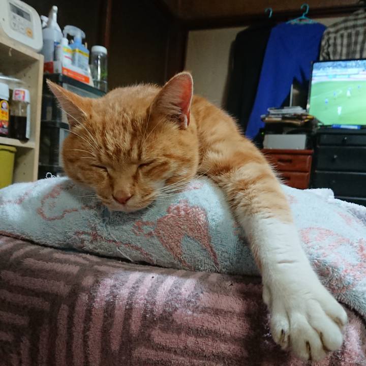 9096cd68 7ad5 46cc b24f 4008d8a45b28 1606729356166