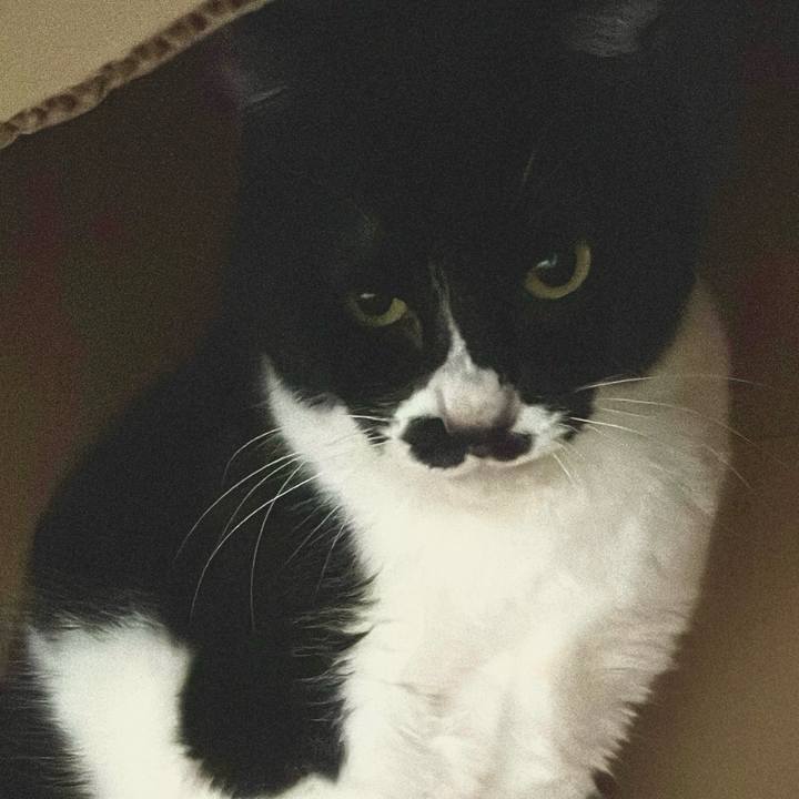 9096dccc c981 4080 8353 2f64399c8154 1708139361276