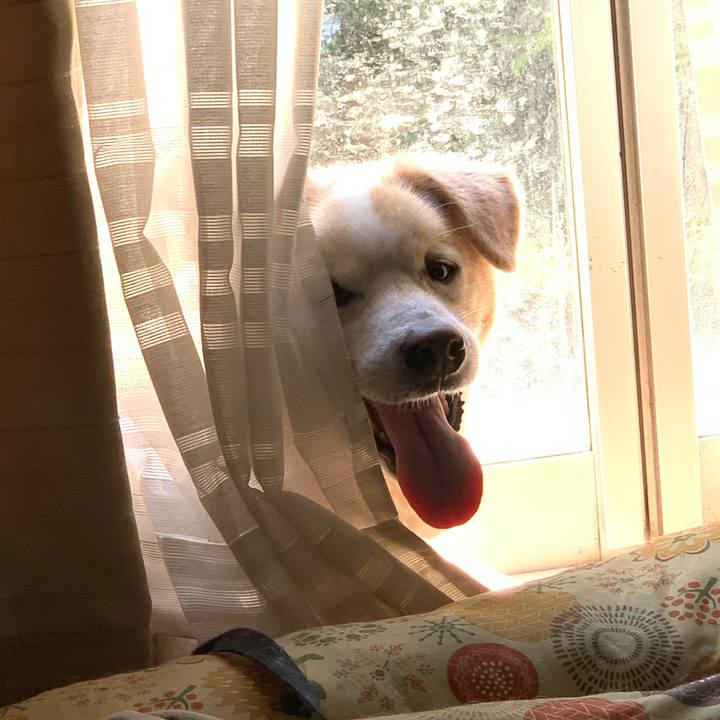 9096ecb0 5ee4 4ab5 9632 2955cba83f7d 1651540562078