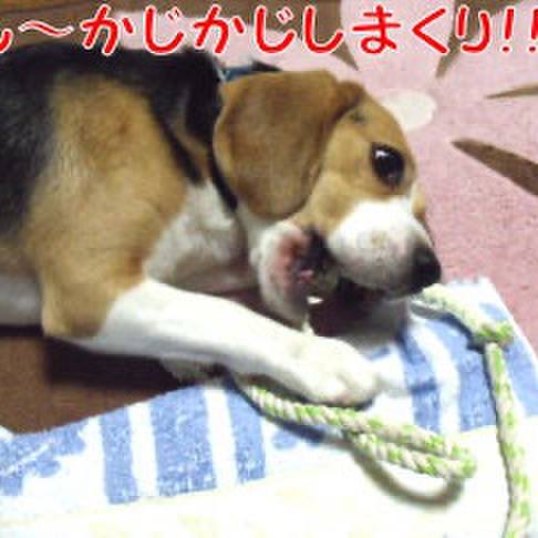 90976d97 c1e5 4e3c a9c4 8a7cb01600f4 1714608874485