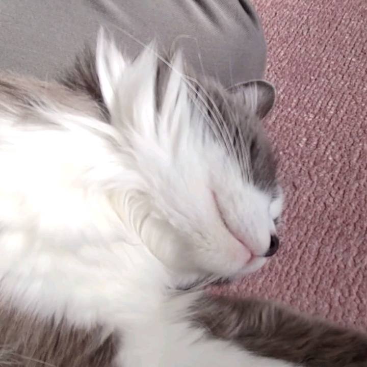 90977b5b af97 4280 bfe5 d0f38447cd94 1667884820005