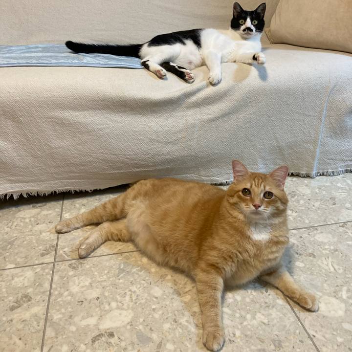 90979a09 3a4b 484e 852b 73d1c464a91b 1756031130488