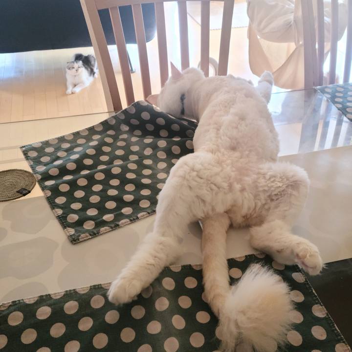 9097a234 87a2 4b22 95bd e877831ac745 1689905263223