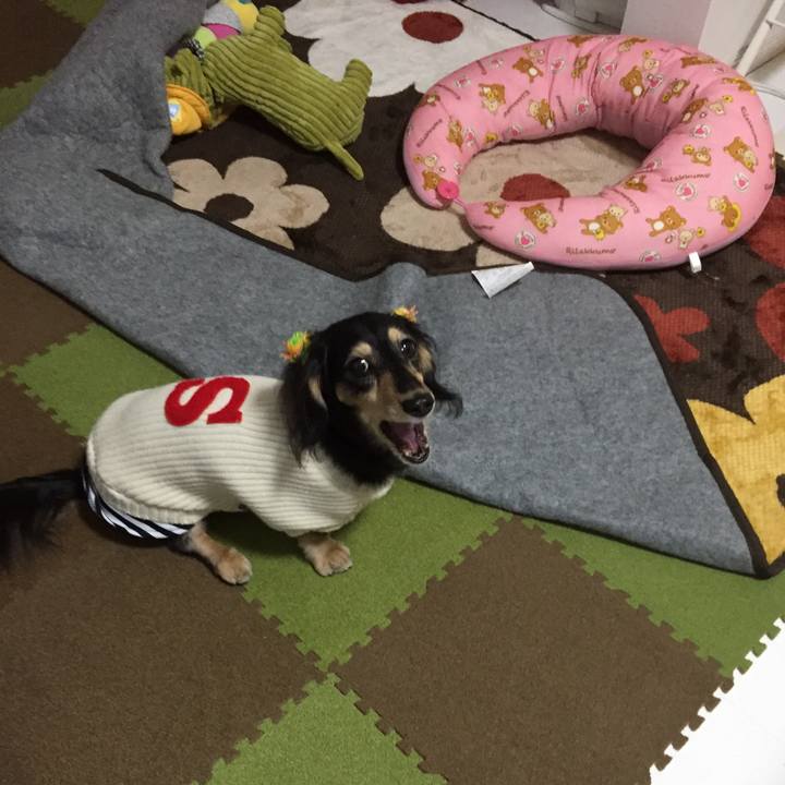 9097c101 db91 4386 920d 369718033530 1542267462908