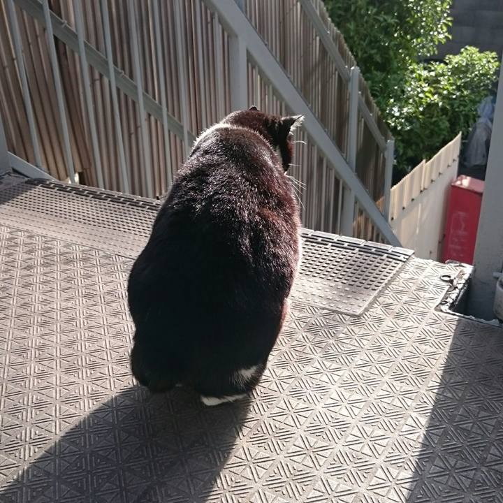 9097c245 3aa1 4cb9 a535 09a45d28da3e 1523849726634