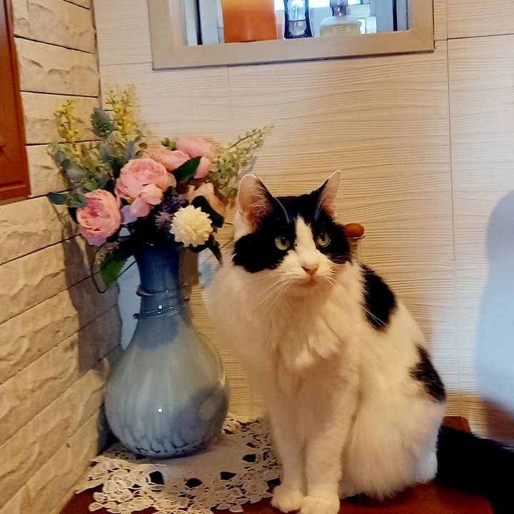 9097cf73 2172 4c2f 88bf cdab8207fb49 1601951200138