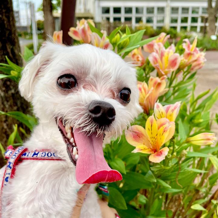 9097d6e1 da7b 4a4b 8558 ead5dfcedfa4 1631347925662