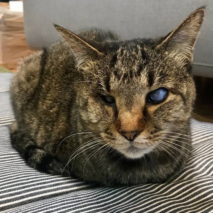 9097d9d4 4f47 4b57 bd72 22880915f05c 1619423982871