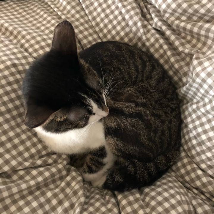 90980325 f8a3 40db b05c 621b59ba7827 1520061180275