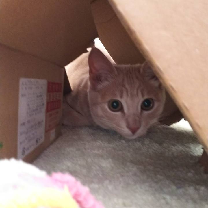 90981d85 b0a7 401d 96e8 d44a12ca09cd 1546394350091