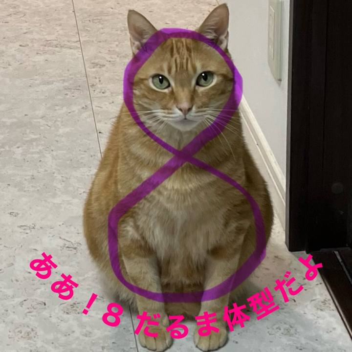 90987265 e83f 4148 a3ae 5e6fac2e039b 1717556015126