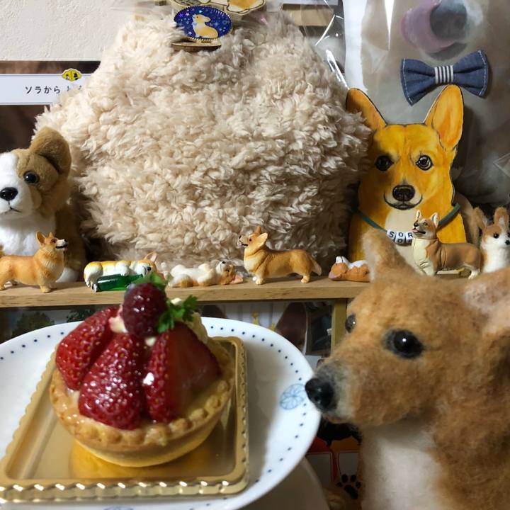 90988edb a614 4389 a21e 4bea2a5887fa 1554907703080