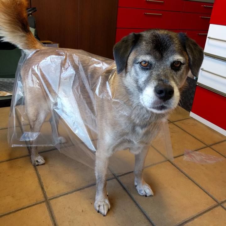 9098b5bd 447d 4e38 a156 79a1847861a9 1738965932962