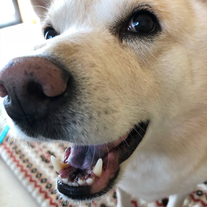 9098e35d 159b 48d2 97d9 42fd85d2093c 1541165923392