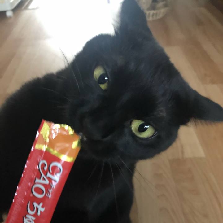 9098f484 55d2 4410 a99a e62991b1a5f9 1598141567877