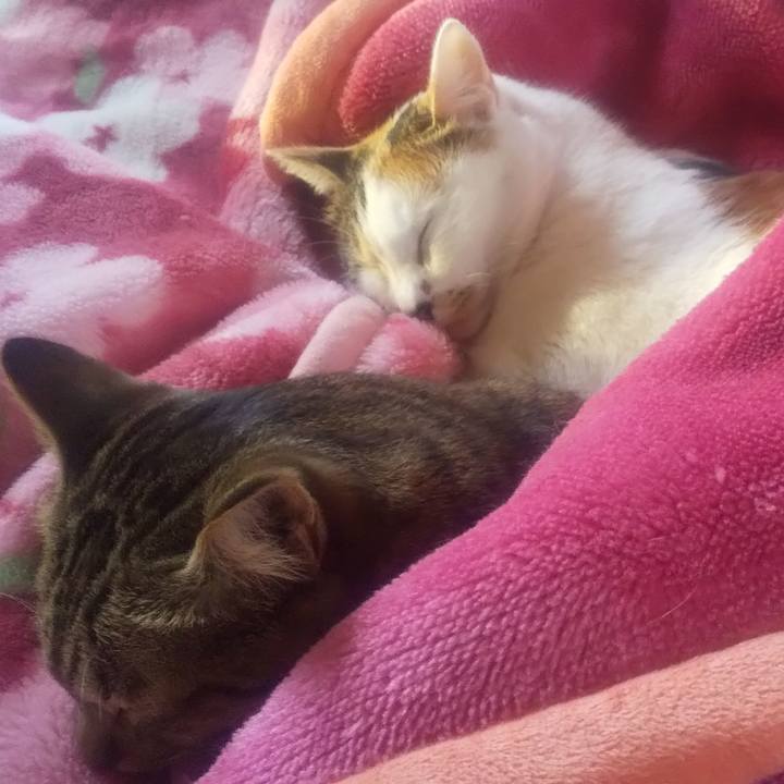 90990037 8ae2 42d0 9864 1fa4756bdc14 1685823987426