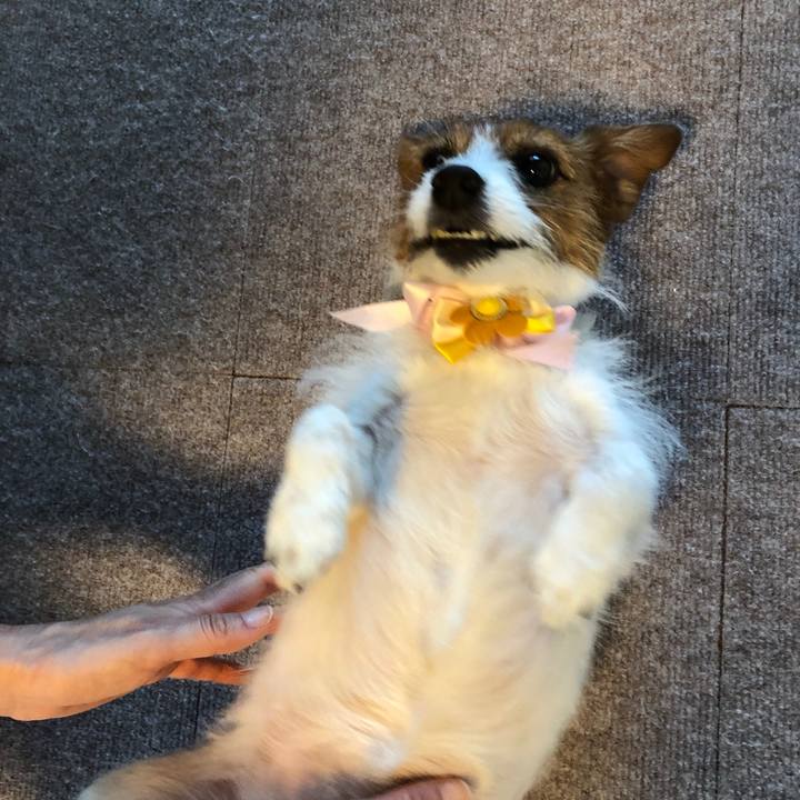 9099038f 6934 4bf3 8f4f 7ff15cd0d12a 1557060696096