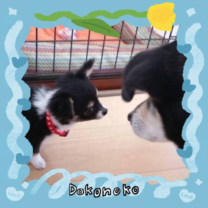 90992b63 7981 4938 b40d ba6445c88ee4 1772199697038