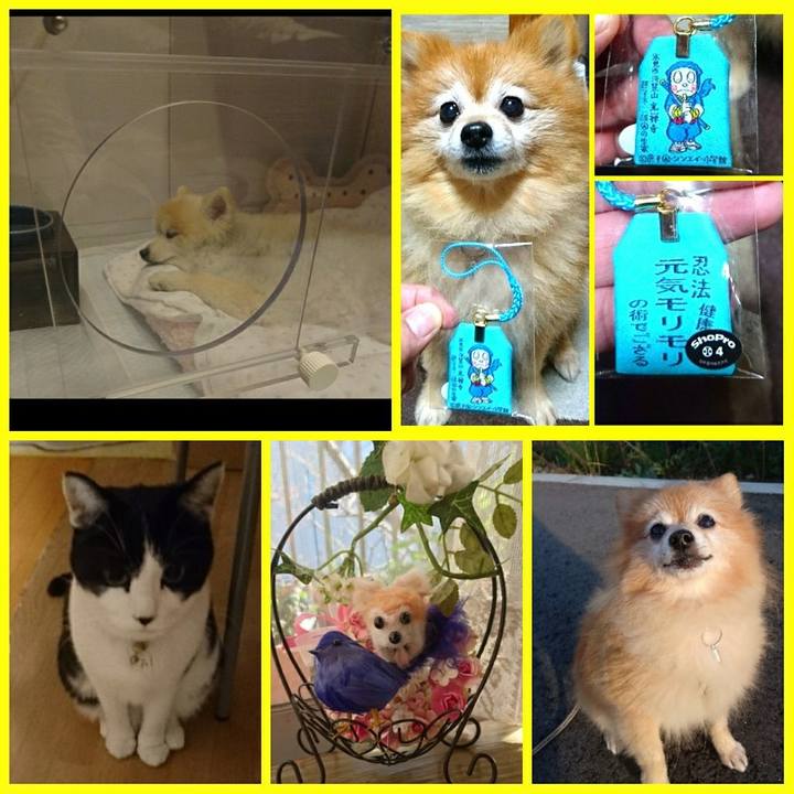 90992e51 556e 4cc0 b160 78310a598f02 1510180213160