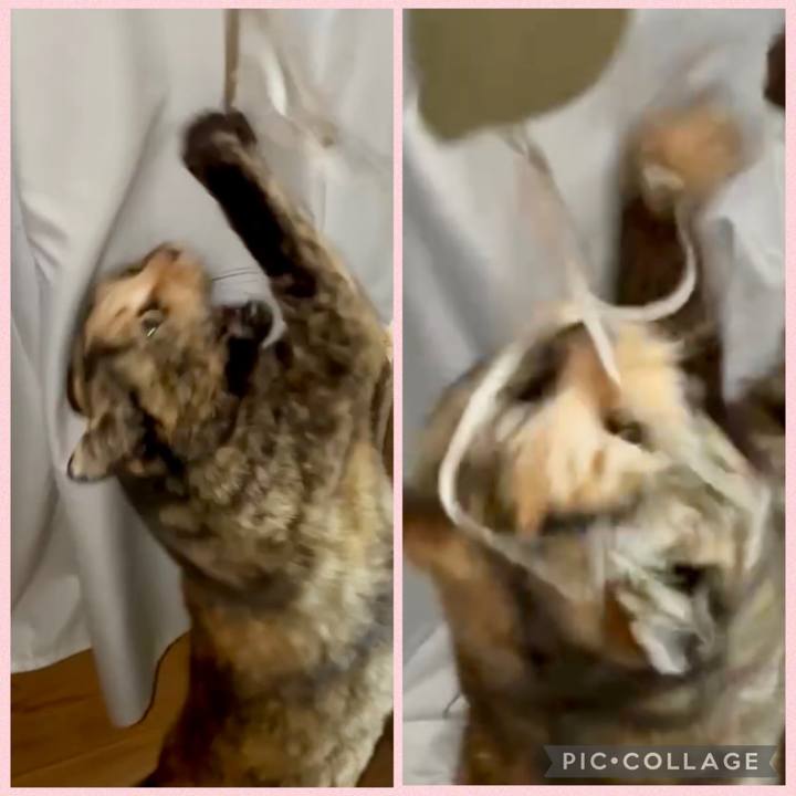 90993435 969e 4192 a36f bdf4d6208d38 1774731193030