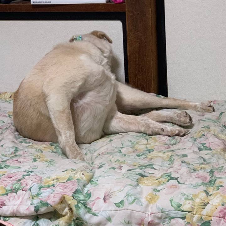 9099472d 3617 4373 92b1 23e3858a2c9d 1554813533270