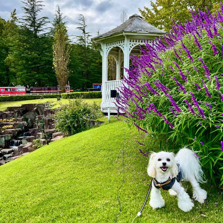 90994f96 b5d3 411e 8d92 292e616848bc 1667429630103