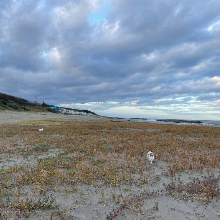 909964a1 8563 42ba 9873 38abe85dde82 1762558106999