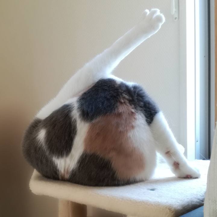 90996ed1 ee30 48c7 8465 179f1d2d449a 1553399626946