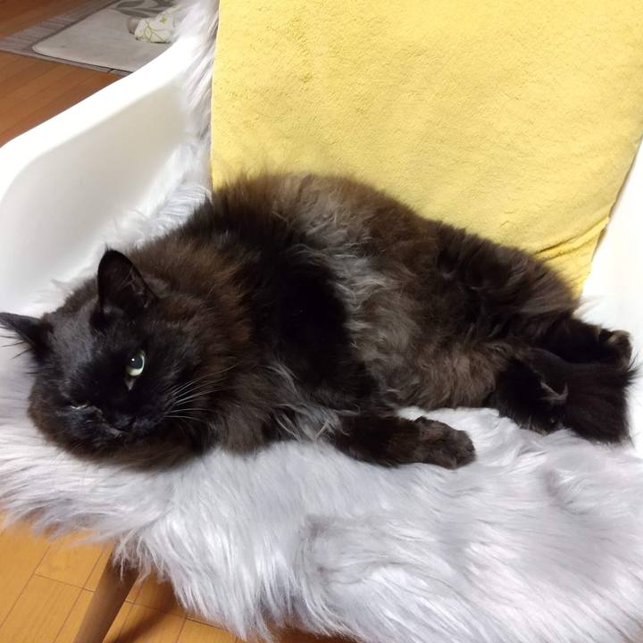 90999265 7dc0 40b9 9bf6 05e524766654 1673773950563