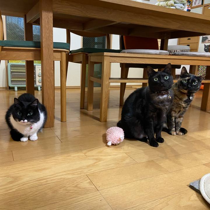 9099abb7 b208 4c7a a43c 31cffc92f147 1708608773927