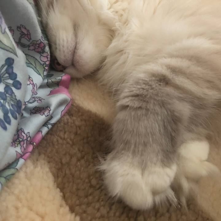 9099abdc 644f 4e31 af69 539228daa1a7 1689493245797