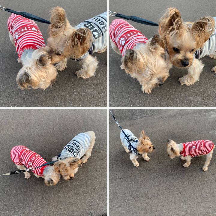 9099c161 dcfa 4289 a7ec 06ca6ecbdd97 1664360016231