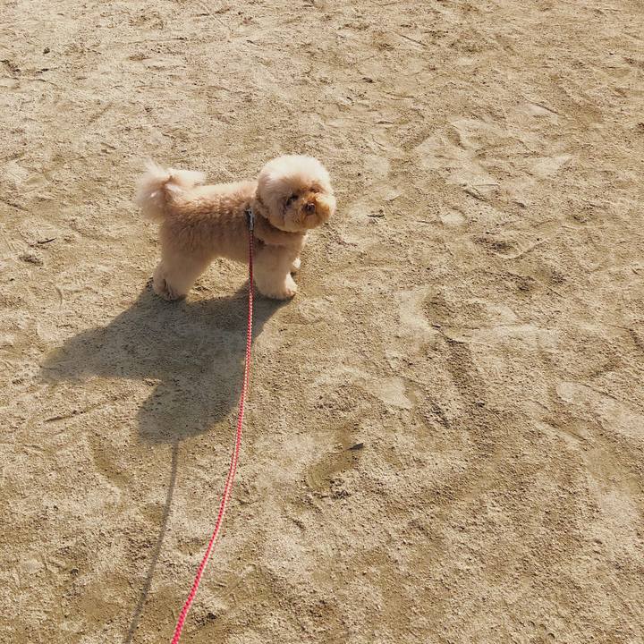 9099ed54 6d77 4c3e 8bf8 9438161c3bd2 1518749962143