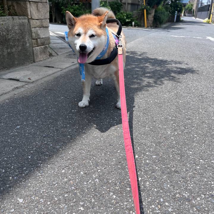 9099f0cf 23f8 4061 a4c8 8643084060e5 1719974670384