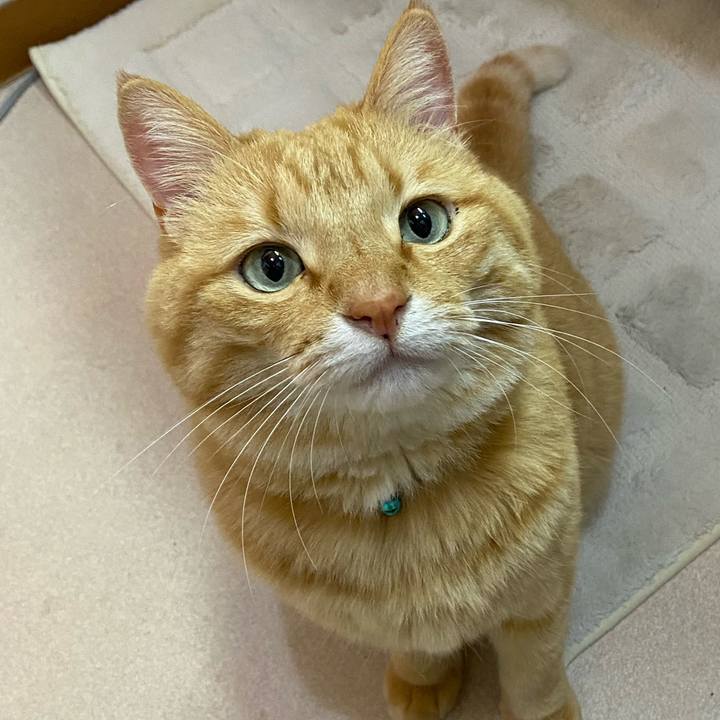 9099f5b0 d0fd 480b b756 695ac9e3046a 1617749371345