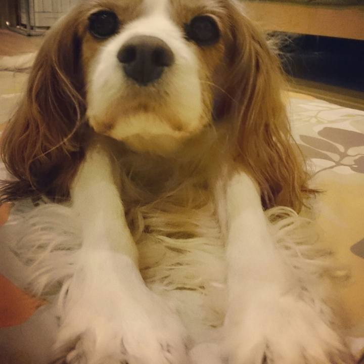 909a491f bb1f 43cb ad47 f89095392cd2 1514294627574