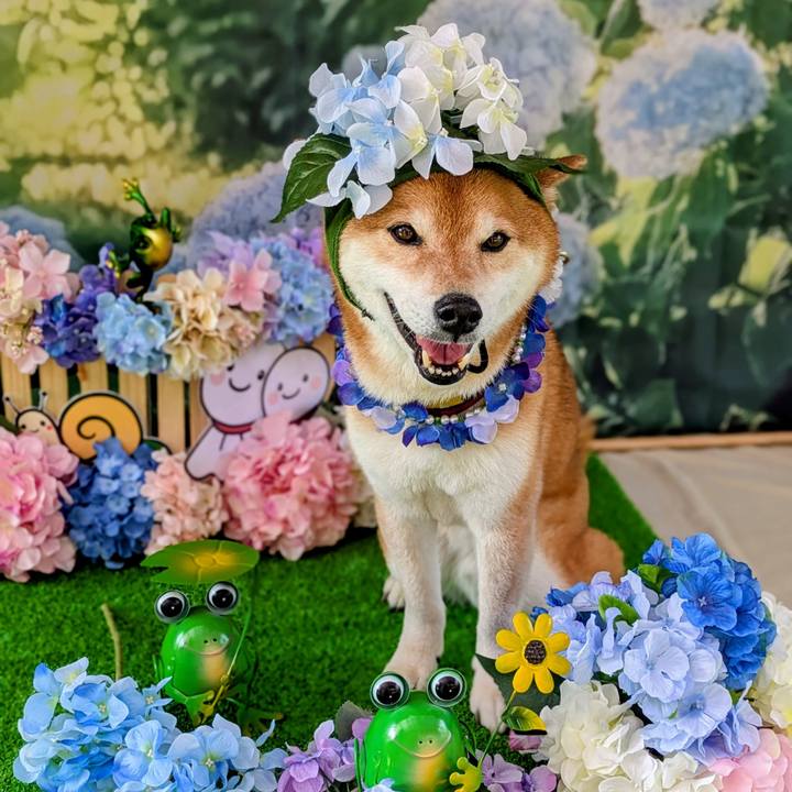 909a4ce7 d9c7 4634 b3e1 ba8fde16540b 1747194274305