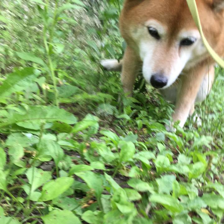 909a5531 612c 4f21 b125 eb332e27ecf5 1622019637894