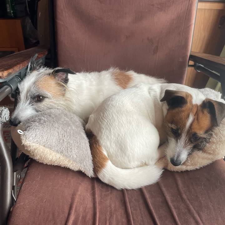 909a7631 884f 4413 b36d db90988b2d8d 1740527632012