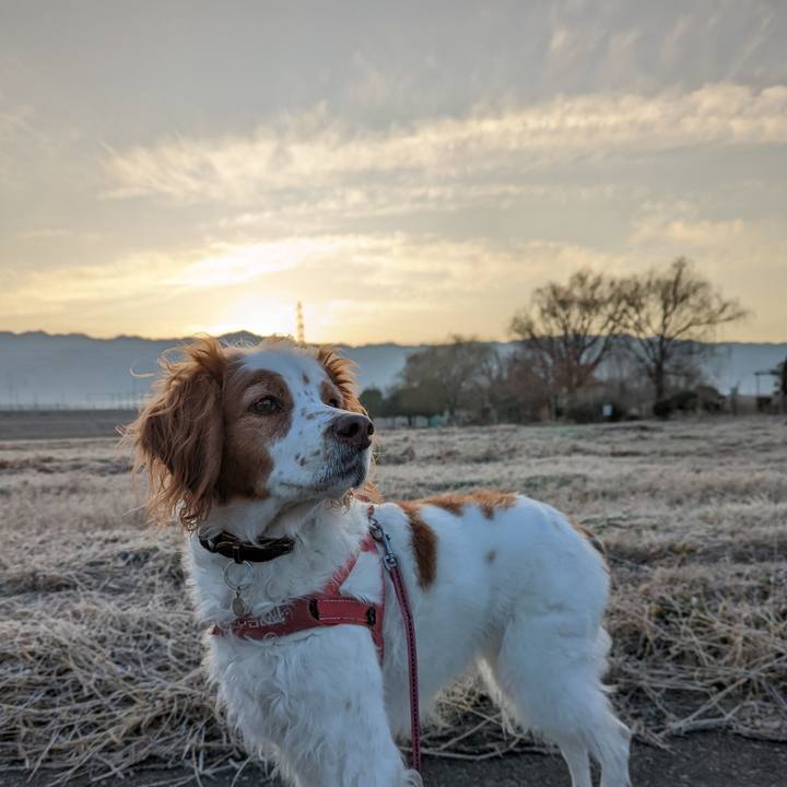 909a90cb c808 457a a085 d4e3de051656 1643157128094