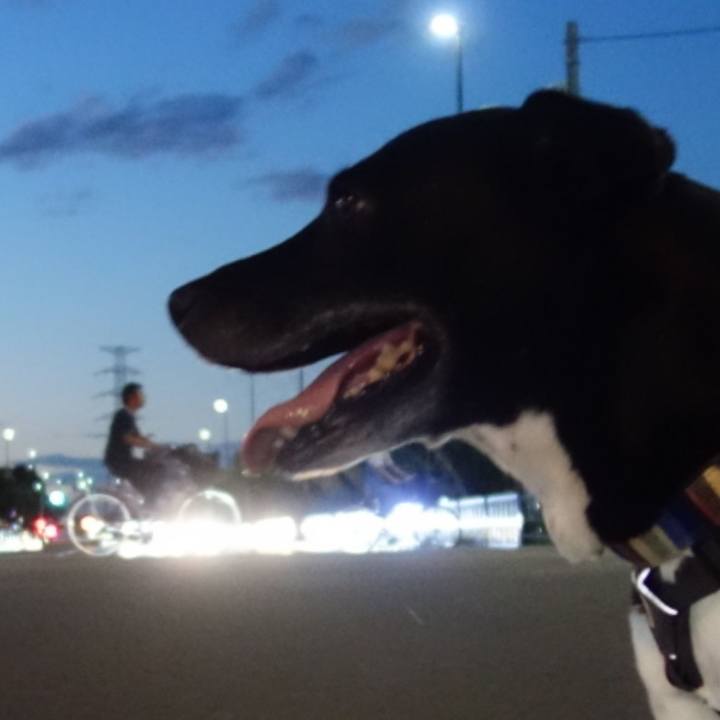 909aa98a db26 4000 8f6b f8ae3ce08dac 1660820144310