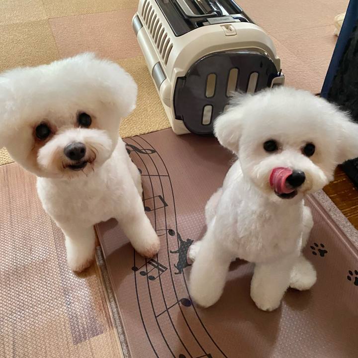 909ab4f5 791c 44d7 9cf5 7c526ab3221c 1758438174986