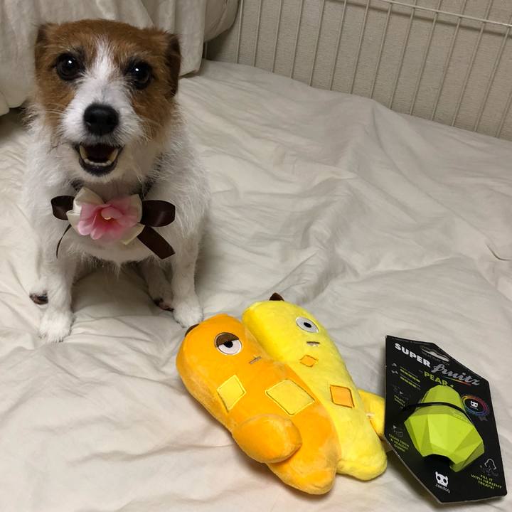 909aba95 4f29 4688 8ea3 e434bb850c20 1542540821370