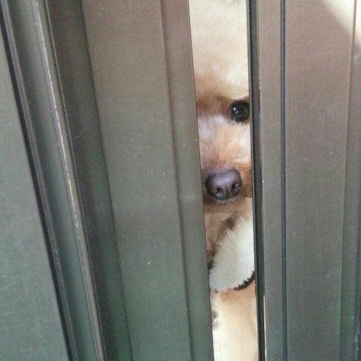 909adb41 e205 40a2 ab03 142506f63483 1543576966756