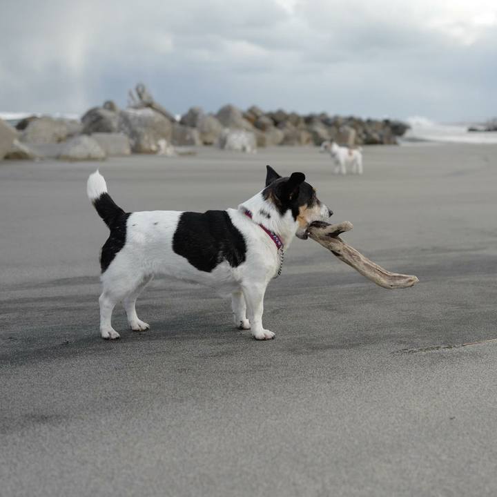 909b0cfd 775c 4a4f 9de0 910c93511b10 1514867862681